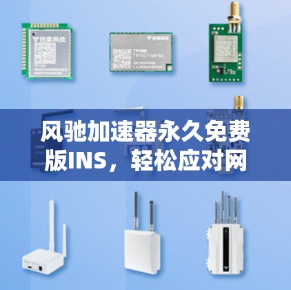 风驰加速器永久免费版INS,轻松应对网络加速难题