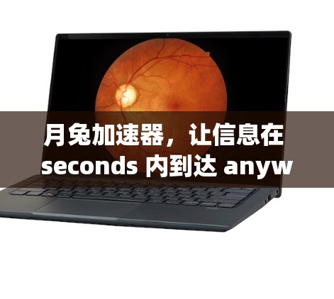 月兔加速器,让信息在 seconds 内到达 anywhere