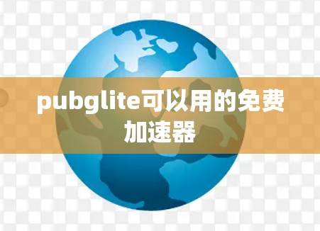 pubglite可以用的免费加速器