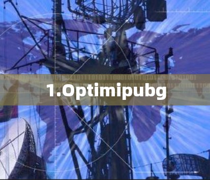 1.Optimipubg