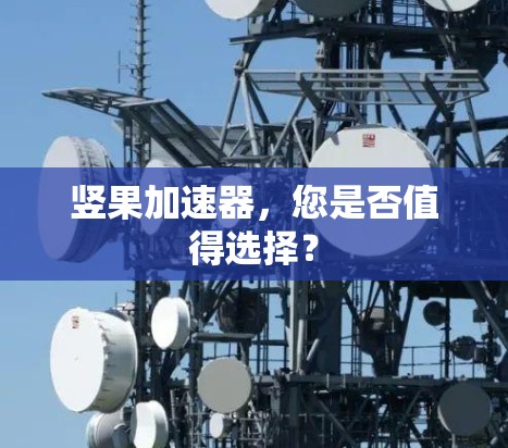 竖果加速器,您是否值得选择?