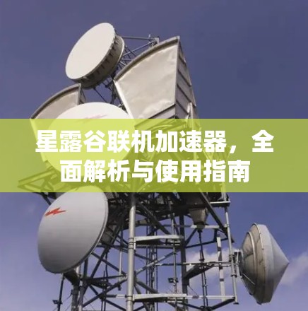 星露谷联机加速器,全面解析与使用指南 星露谷联机加速器,全面解析与使用指南