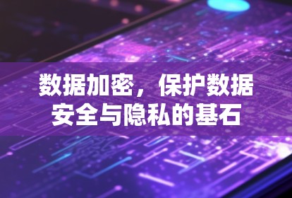数据加密,保护数据安全与隐私的基石