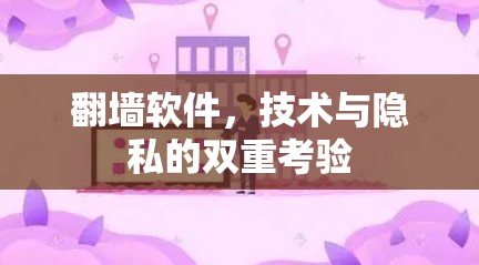 翻墙软件,技术与隐私的双重考验