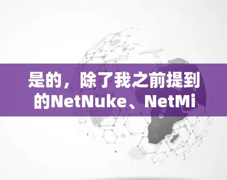是的,除了我之前提到的NetNuke、NetMirror、NetMirror2等软件,还有一些其他可以用于翻墙和限制网络访问的软件或工具。以下是几种可以考虑的选项