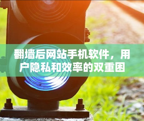 翻墙后网站手机软件，用户隐私和效率的双重困境