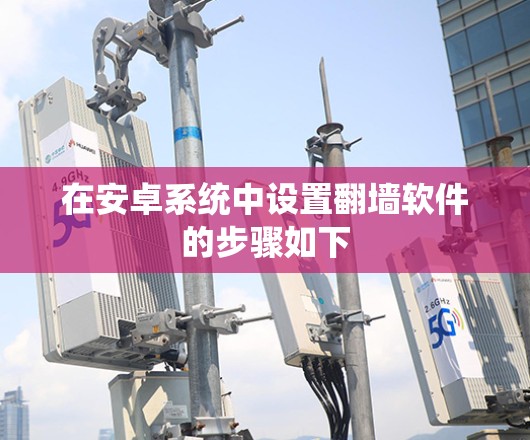 在安卓系统中设置翻墙软件的步骤如下