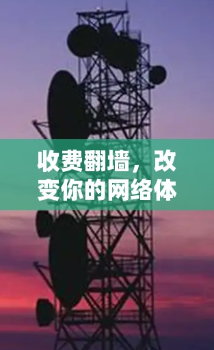 收费翻墙,改变你的网络体验的必选服务?