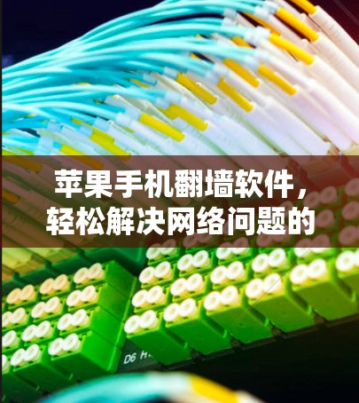 苹果手机翻墙软件，轻松解决网络问题的实用工具