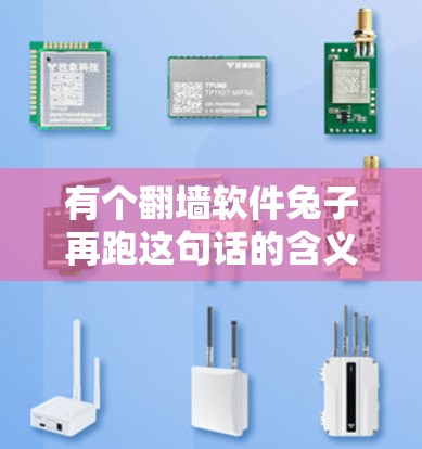 有个翻墙软件兔子再跑这句话的含义可以通过以下步骤进行分析