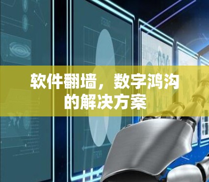 软件翻墙,数字鸿沟的解决方案