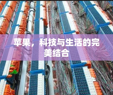 苹果,科技与生活的完美结合