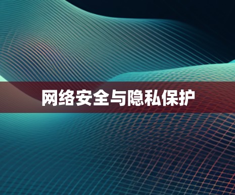 网络安全与隐私保护 网络安全与隐私保护
