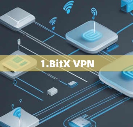1.BitX VPN 1.BitX VPN