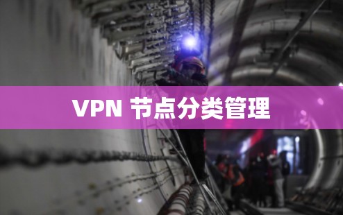 VPN 节点分类管理