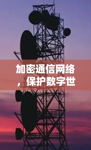 加密通信网络,保护数字世界的安全密码 加密通信网络,保护数字世界的安全密码