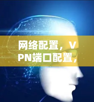 网络配置，VPN端口配置，安全与效率的平衡之路
