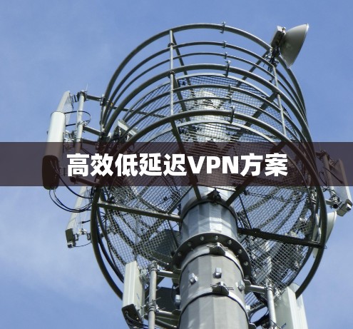 高效低延迟VPN方案 高效低延迟VPN方案