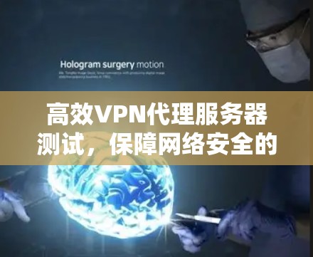 高效VPN代理服务器测试,保障网络安全的关键步骤 高效VPN代理服务器测试,保障网络安全的关键步骤