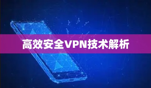 高效安全VPN技术解析 高效安全VPN技术解析