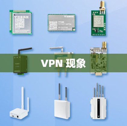 VPN 现象 VPN 现象