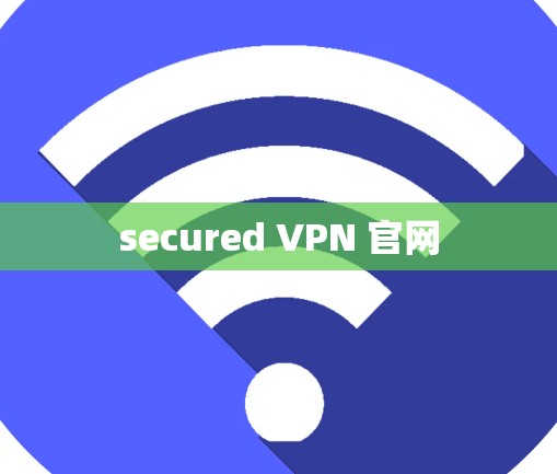 secured VPN 官网