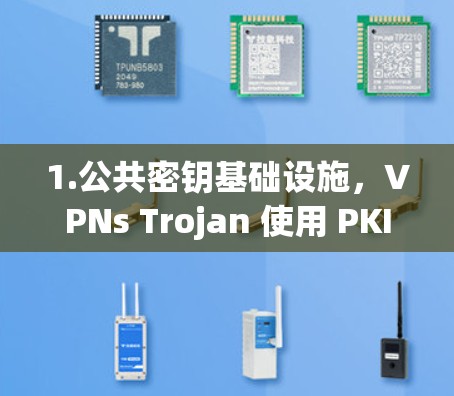 1.公共密钥基础设施,VPNs Trojan 使用 PKI 来管理加密和授权,这使得它能够支持多种加密协议和安全协议,如 SSL/TLS、TLS、IPsec 等