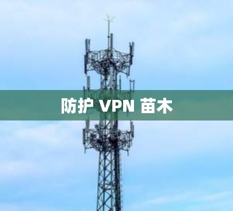 防护 VPN 苗木 防护 VPN 苗木
