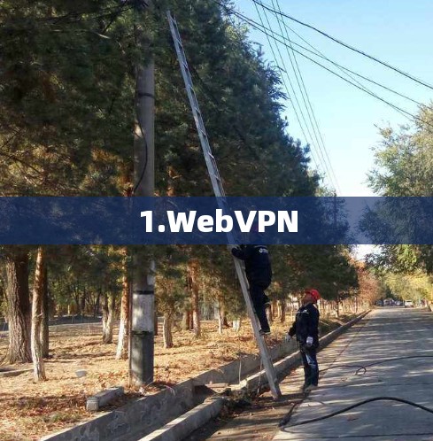1.WebVPN